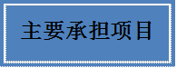主要承担项目